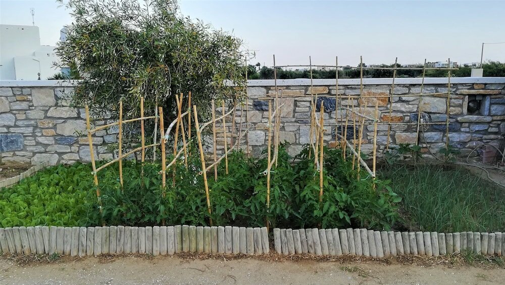 Фото Blue Harmony Apartments