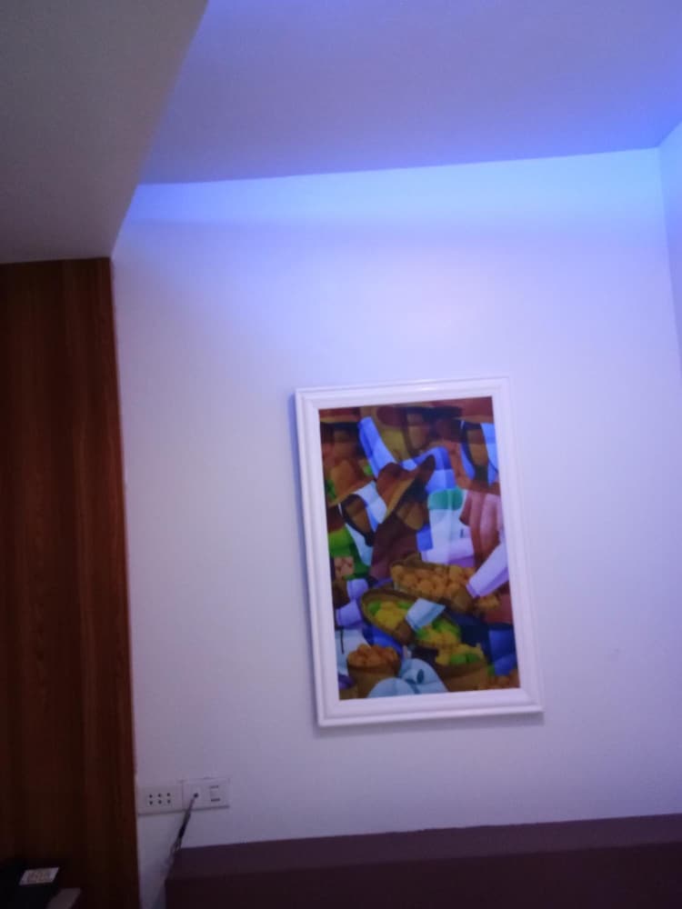 Фото Anthurium Inn