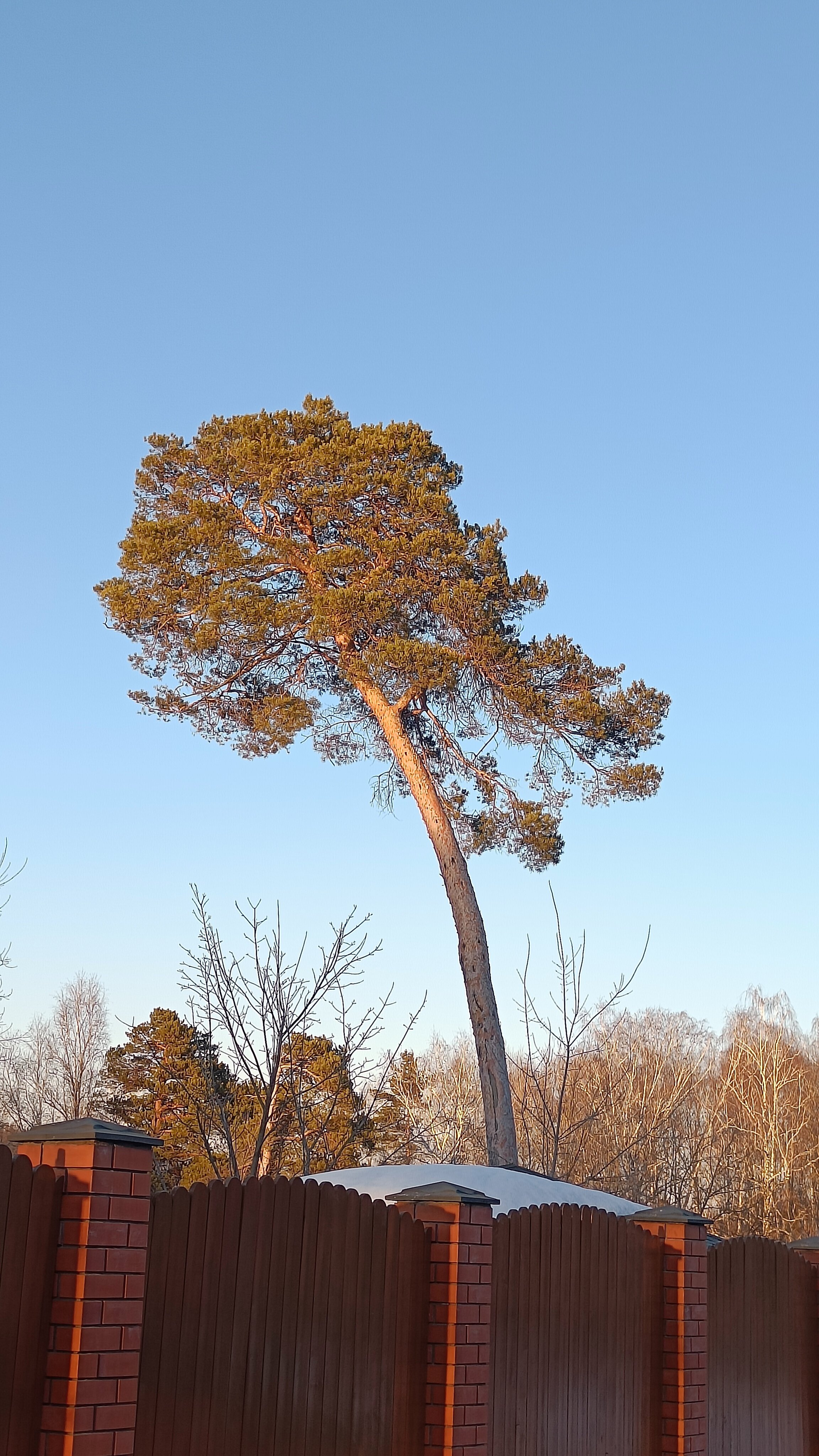 Фото Теремок