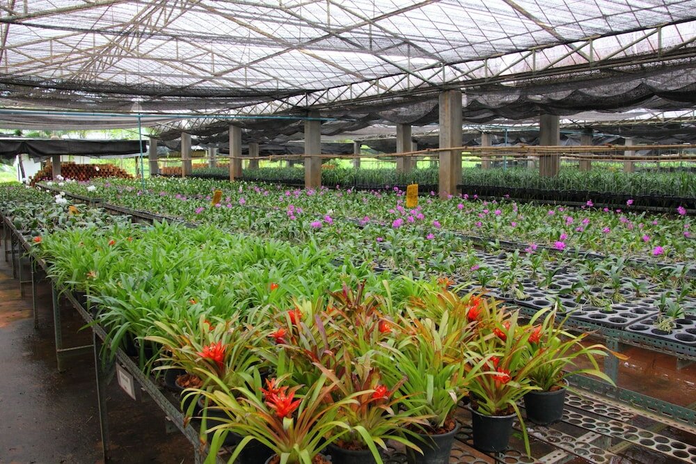 Фото Phu Pha Nam Resort & SPA