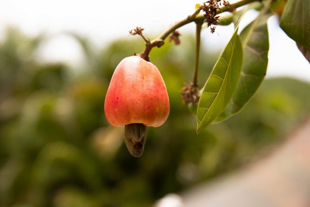 Фото Icis Villas