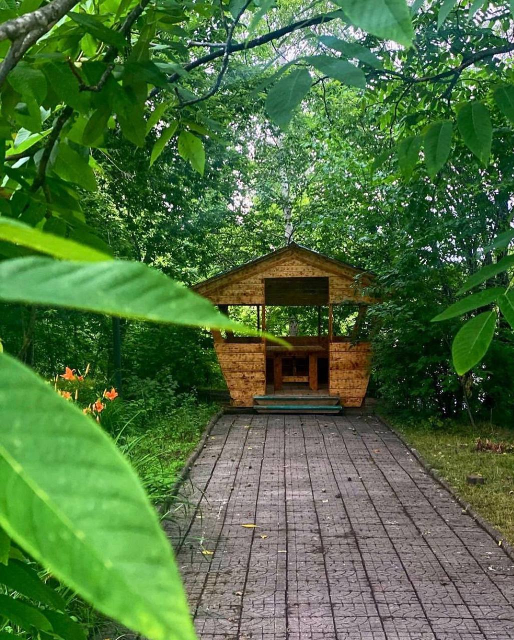 Фото Таежный берег