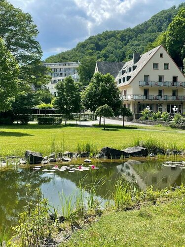 Гостиница Hotel Alte Mühle в Рейнланде-Пфальце