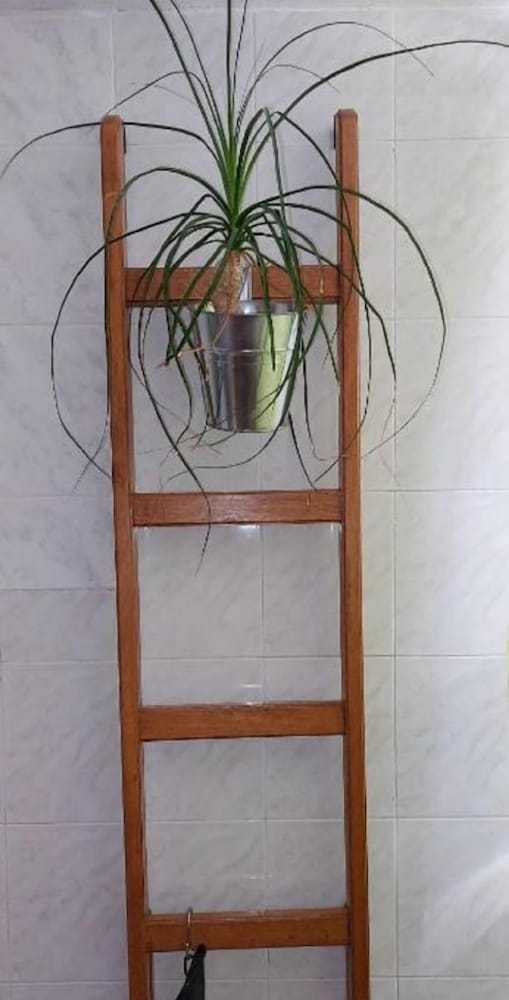 Фото Jase - Nice View - A1