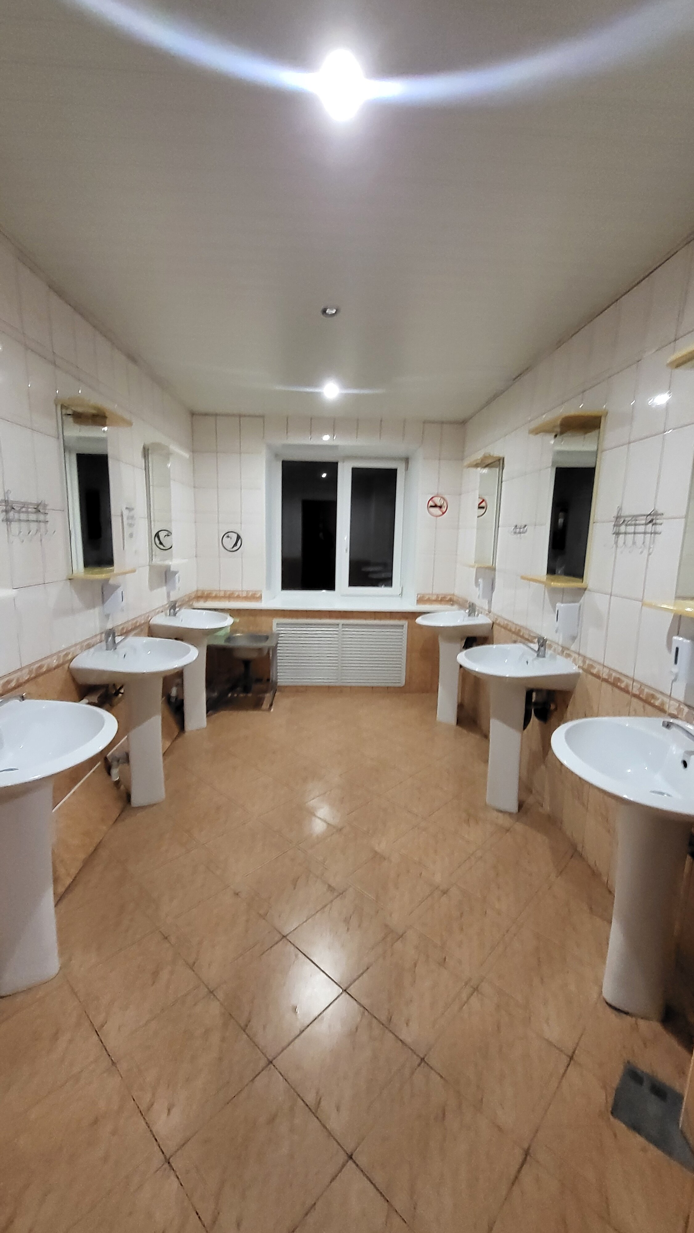 Фото Берёзка