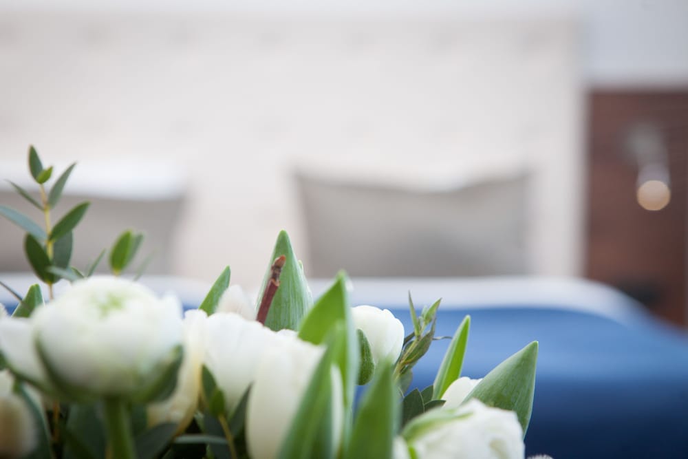 Фото First Hotel River C