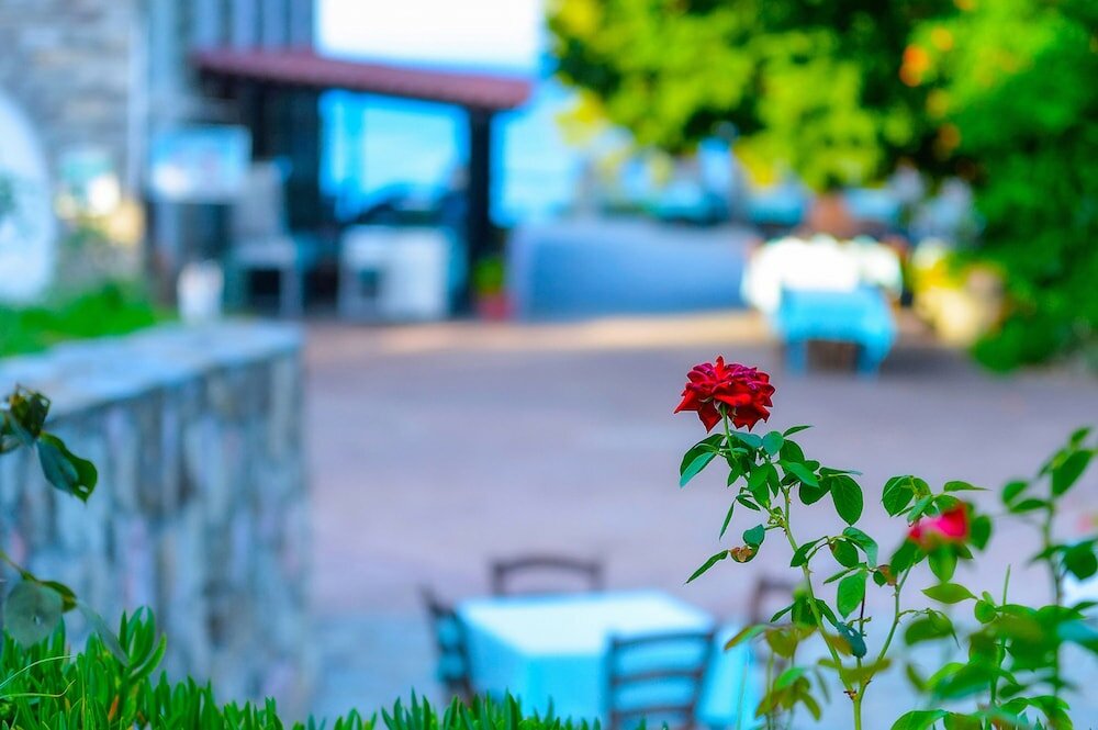 Фото Alexander The Great Beach Hotel