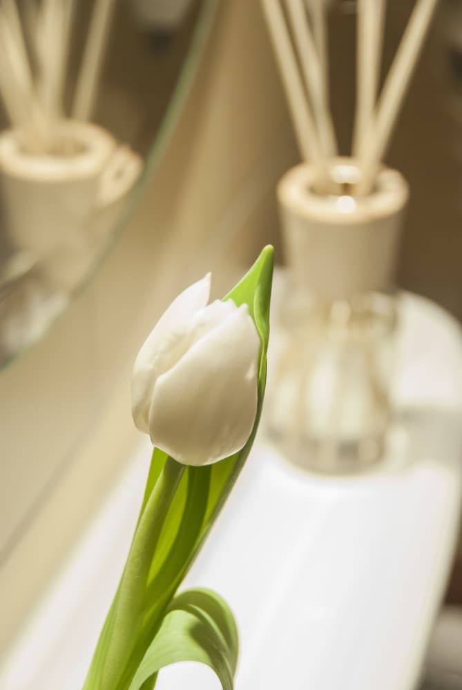 Фото 158116823309