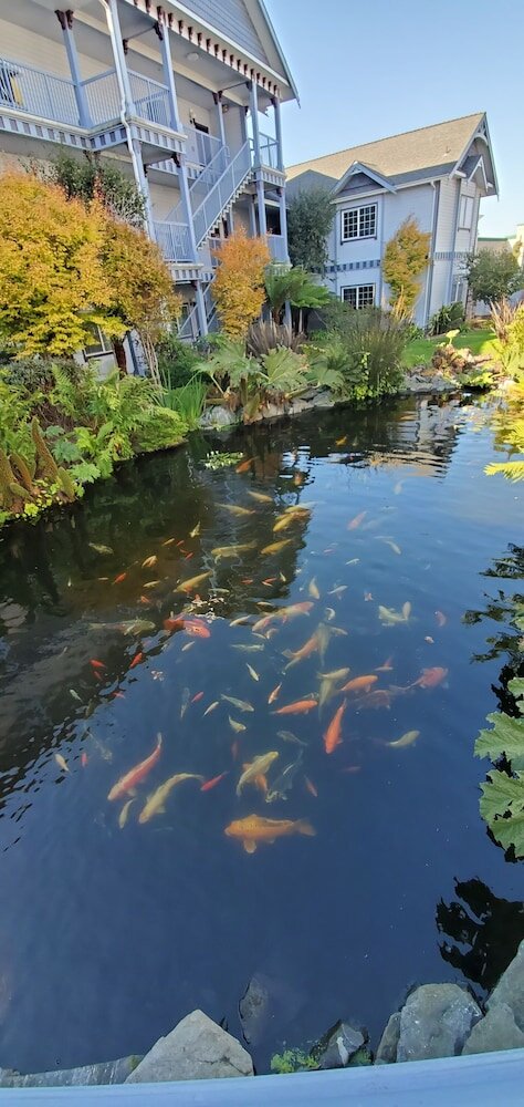 Фото Best Western Plus Bayshore Inn