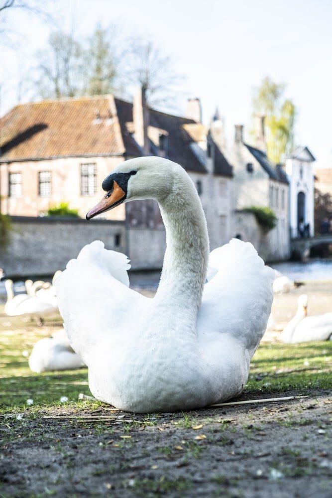 Фото The Pand Hotel