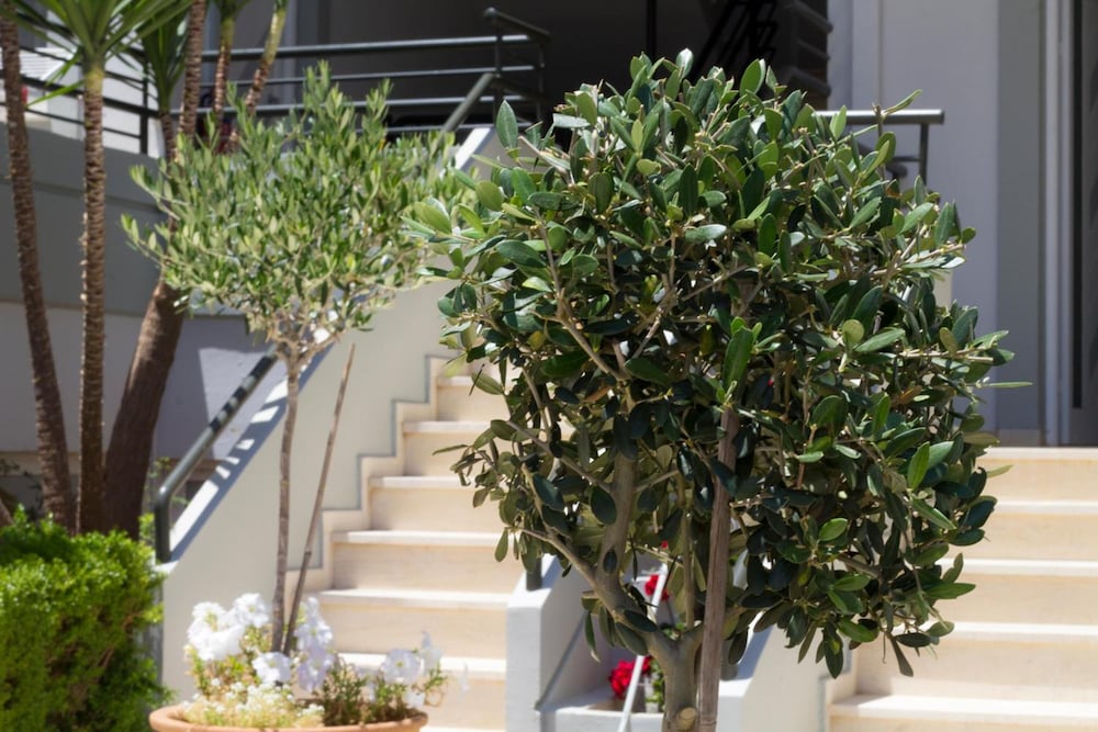 Фото Elia Stalos Apartments