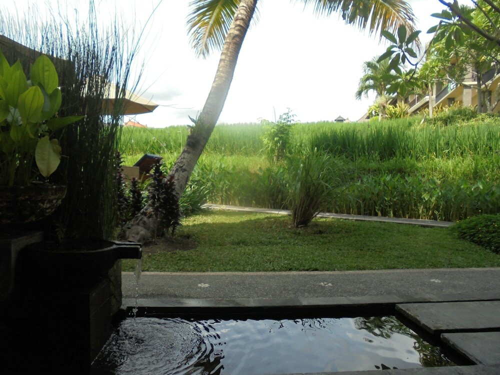 Фото 194778772671