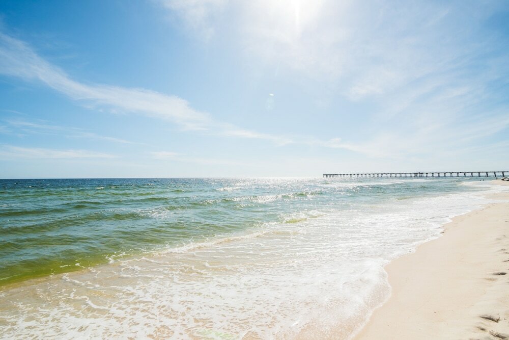 Фото Osprey on the Gulf