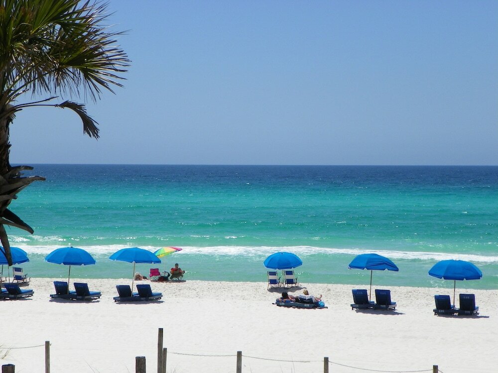 Фото Osprey on the Gulf