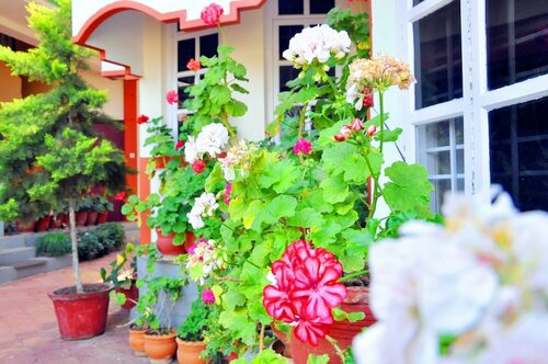 Гостиница Four Seasons Coorg