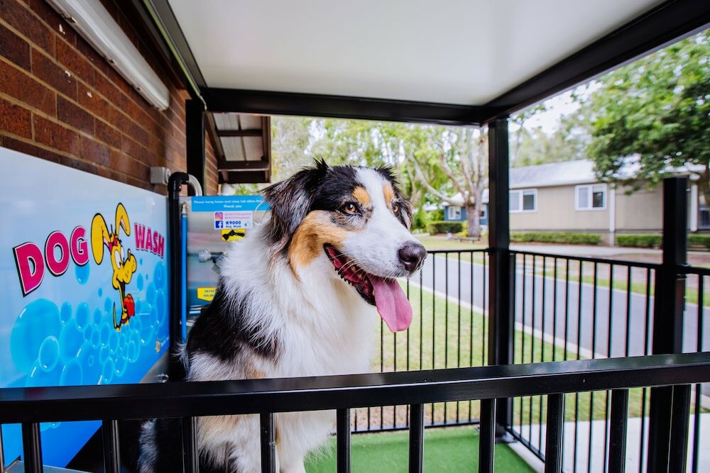 Фото Kirra Beach Tourist Park