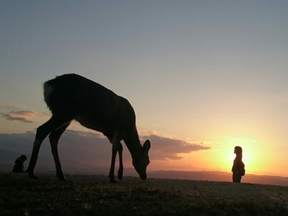 Фото Sarusawaike Yoshidaya