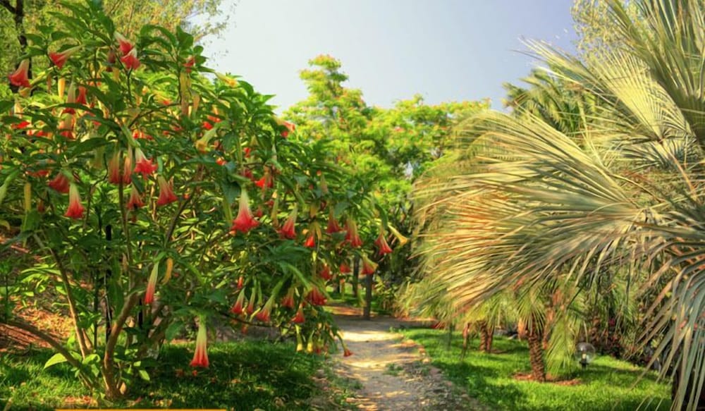 Фото Tenuta di Roccadia