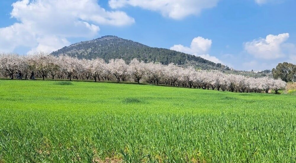 Фото Mount Tabor Home by Sea N' Rent