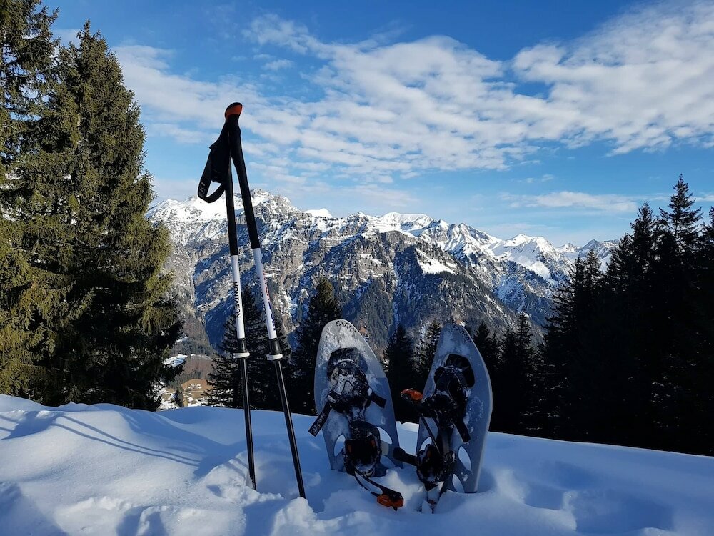 Фото Sporthotel Chalets