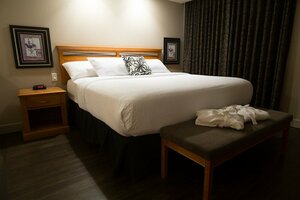 Royal Hotel Edmonton Airport (Alberta, Nisku), hotel