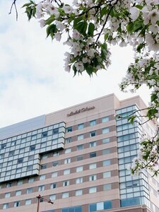 Гостиница Hotel Okura Fukuoka