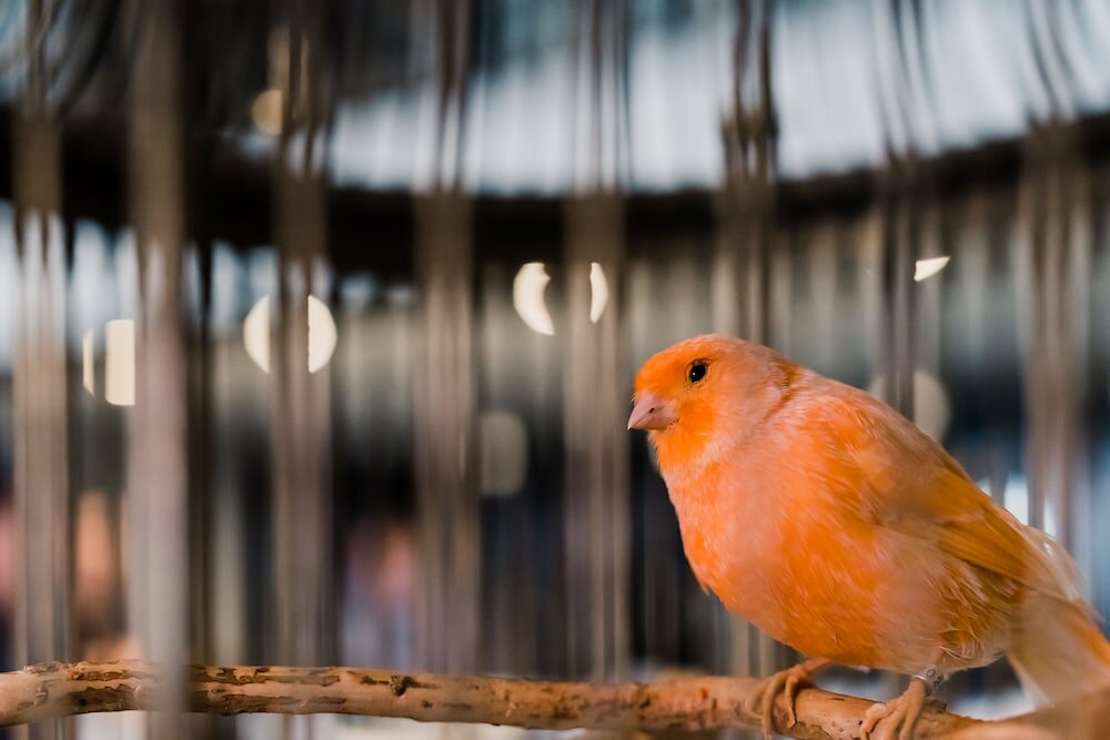 Фото The Oxford Hotel