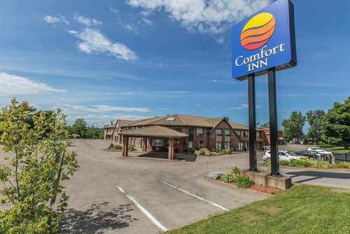 Гостиница Comfort Inn Sydney в Сиднее