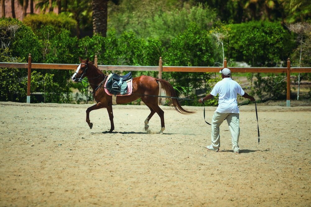 Фото Mövenpick Resort El Quseir