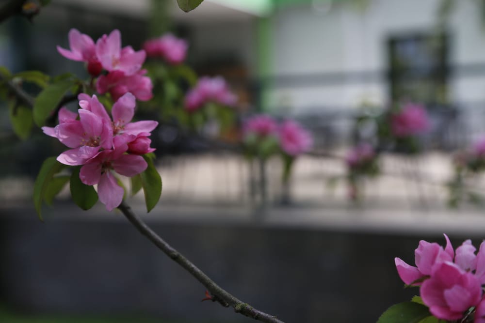 Фото Amrita Hotel