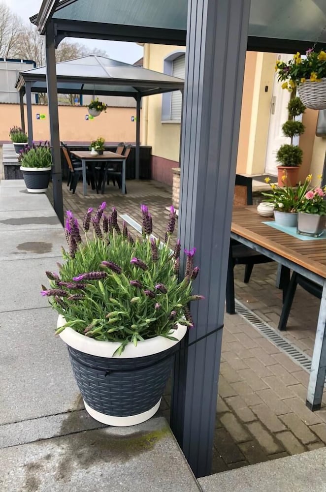 Фото Motel de Winter