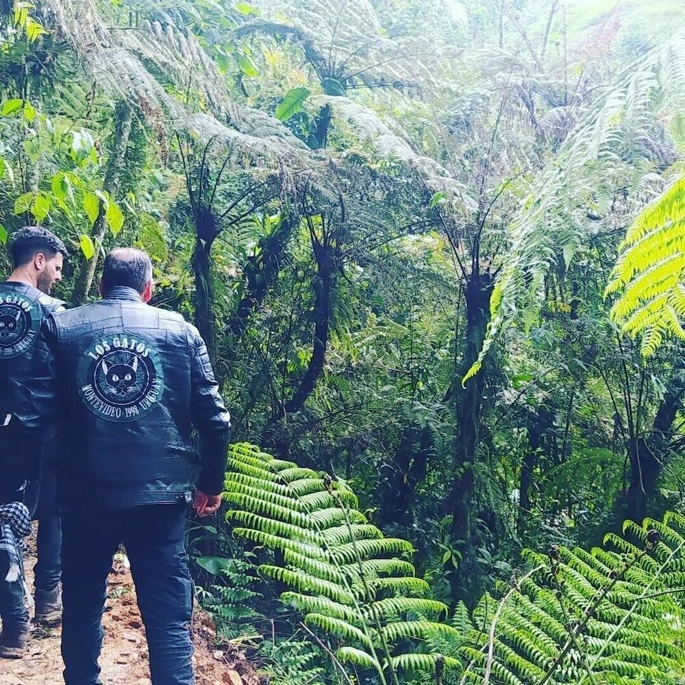 Фото Pousada Rota do Corvo - Grão-Pará - Sc