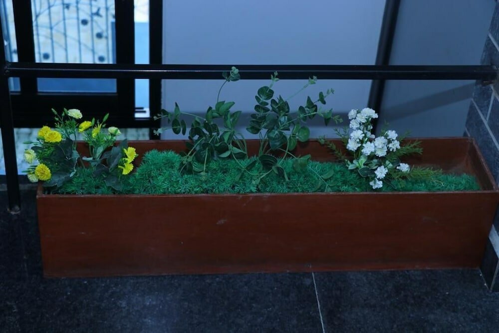 Фото Hotel Siddhartha In Lumbini