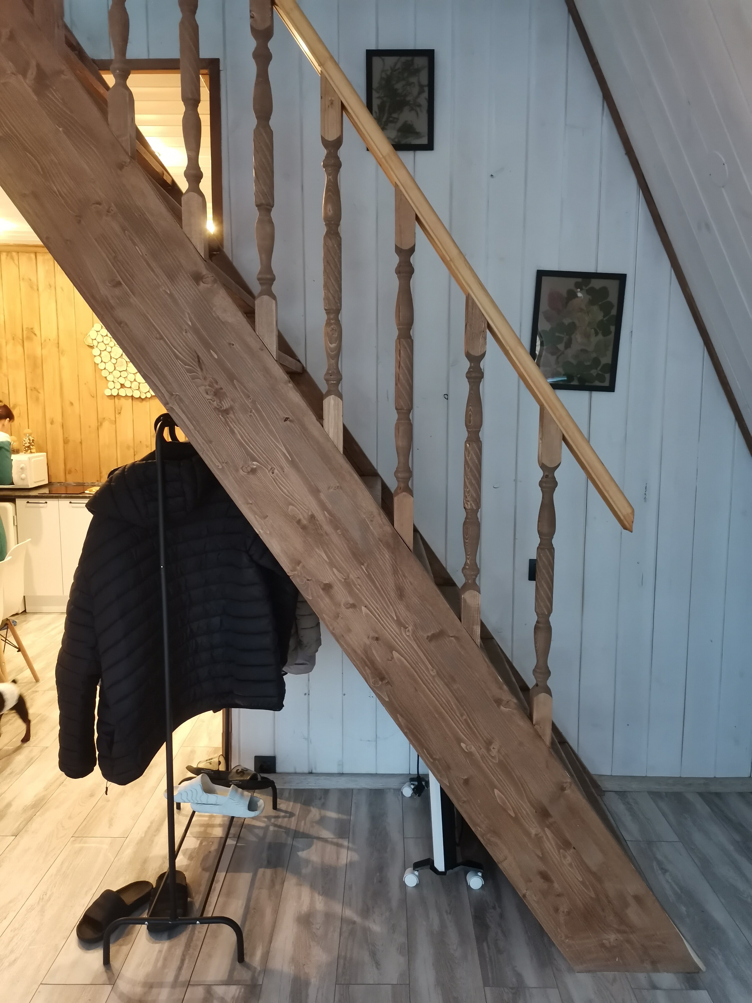 Фото Магия леса