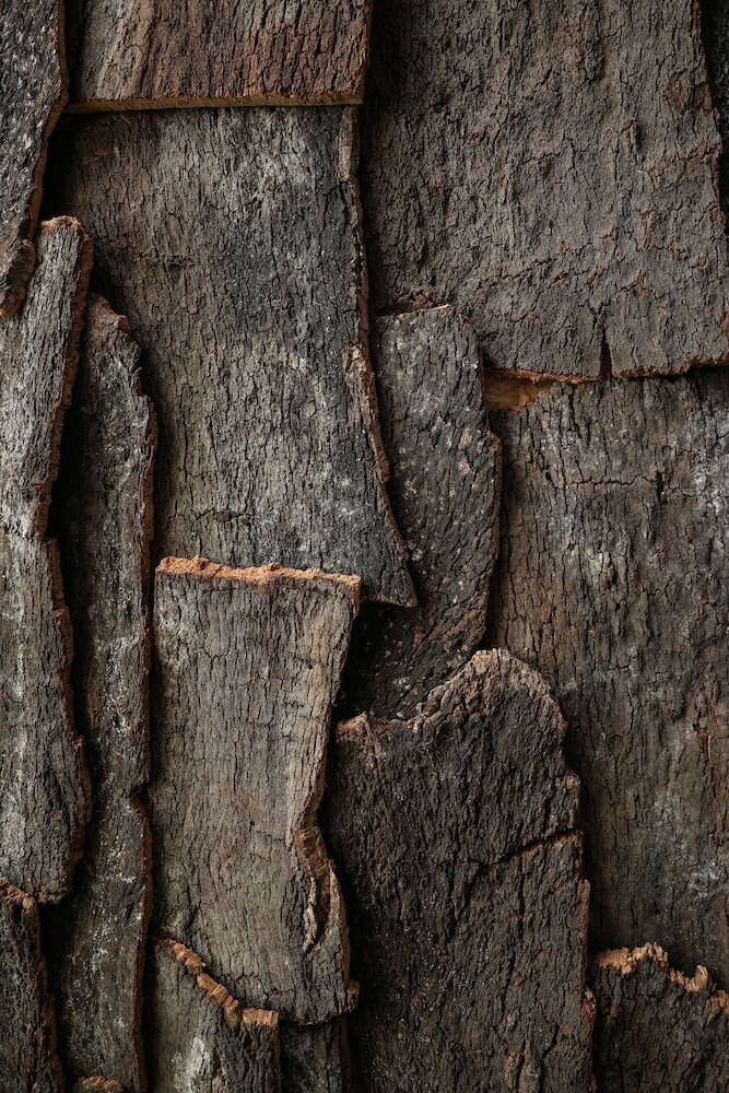 Фото Jam Hotel Lisbon