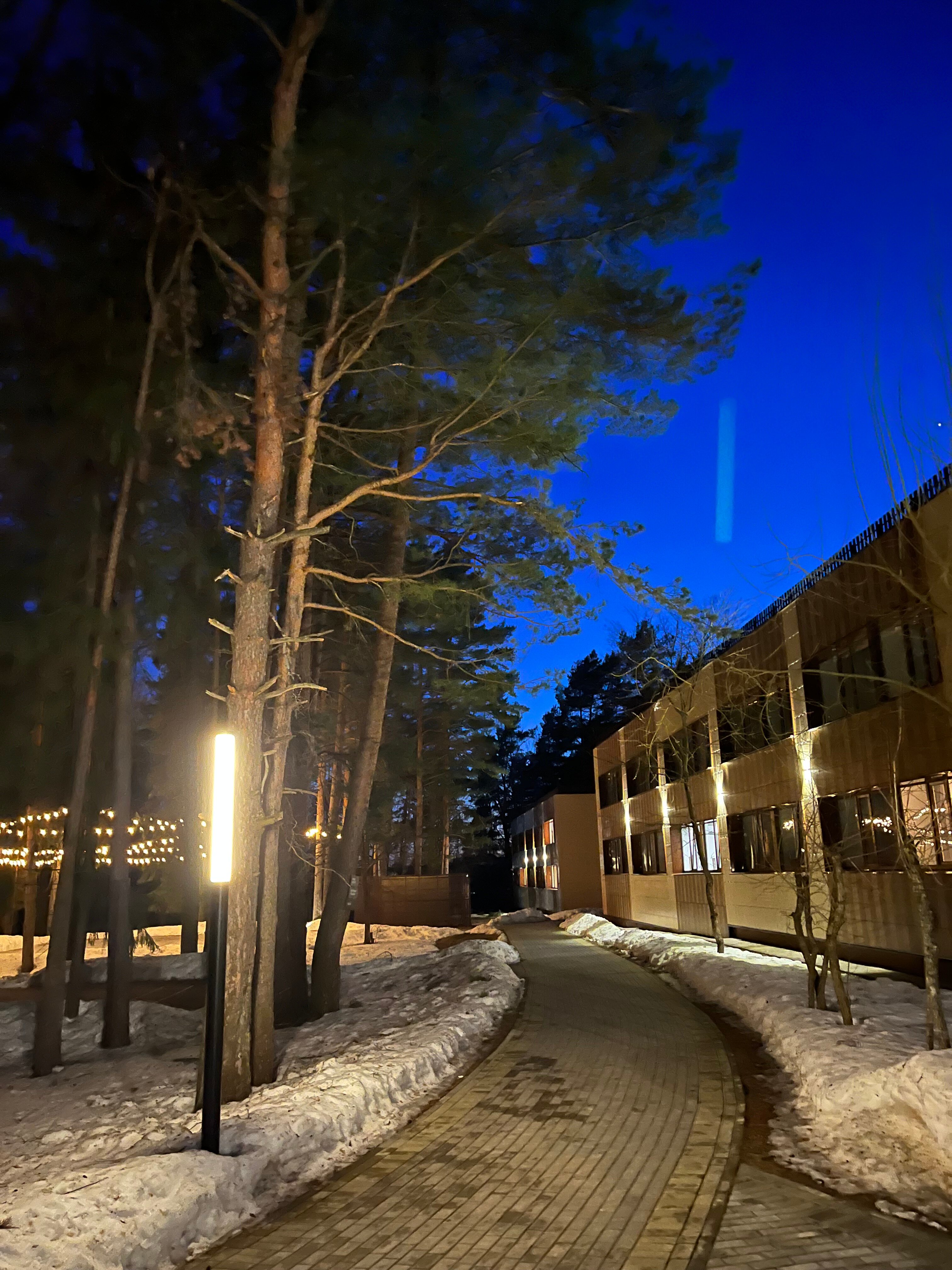 Фото Времена года в зелёном городе