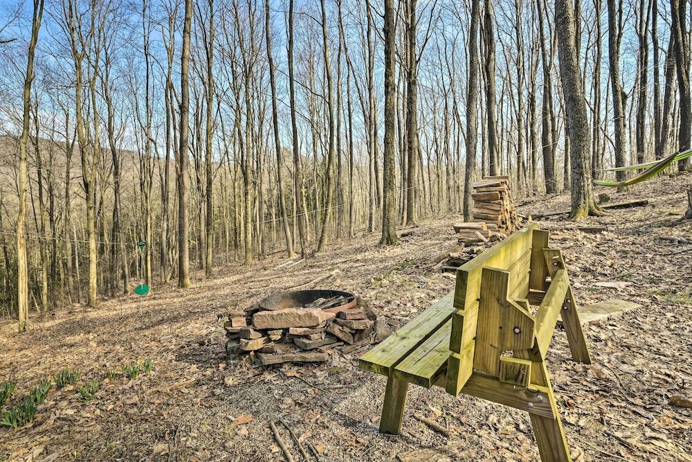 Фото Unplugged Mountain Retreat With Porch Swings!