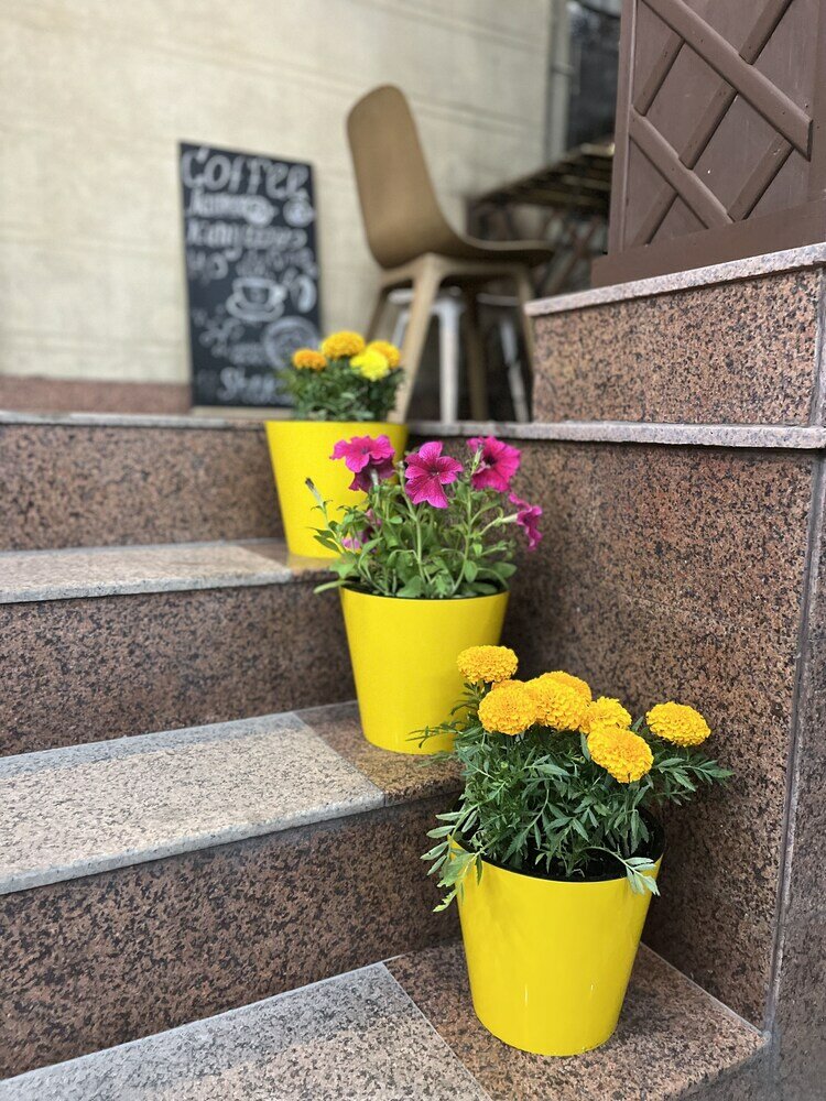 Фото People Hostel