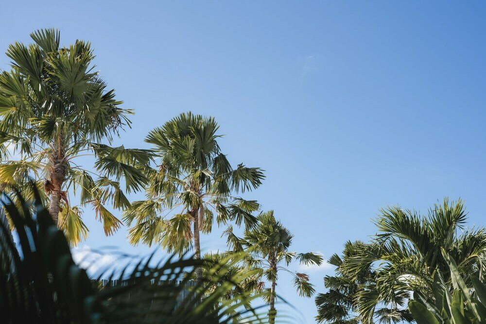 Фото Villa Nomad