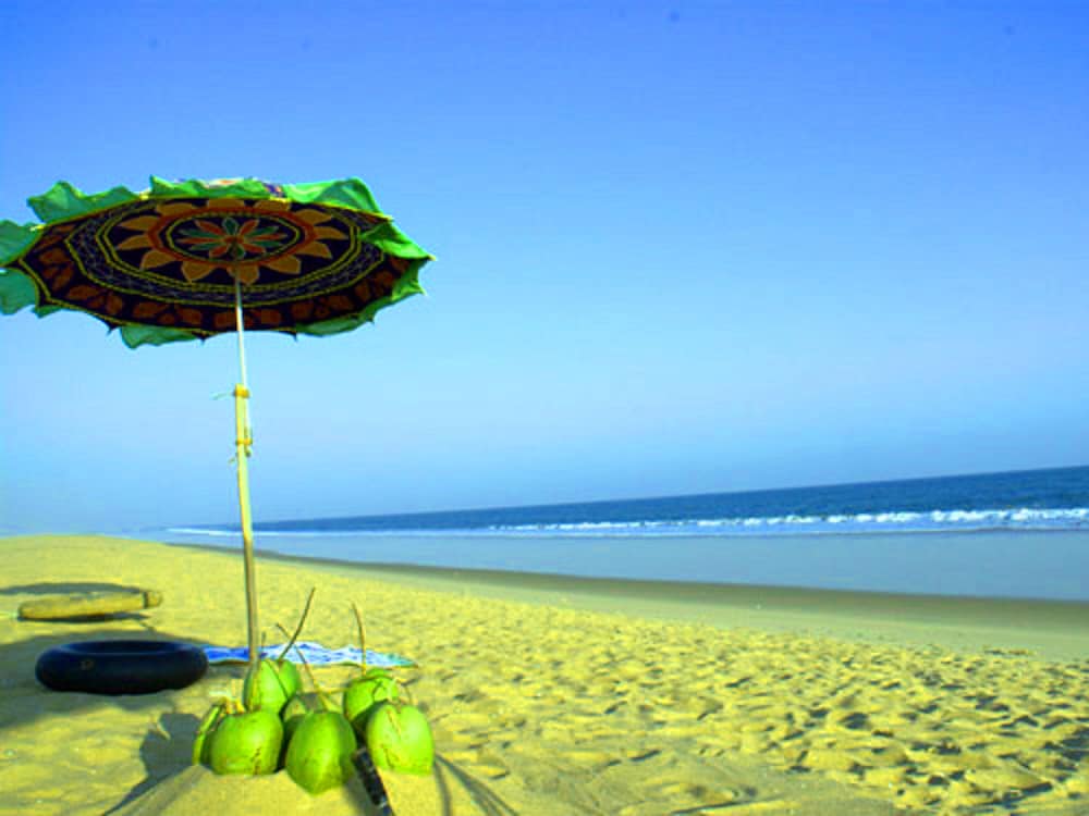 Фото Toshali Sands Puri