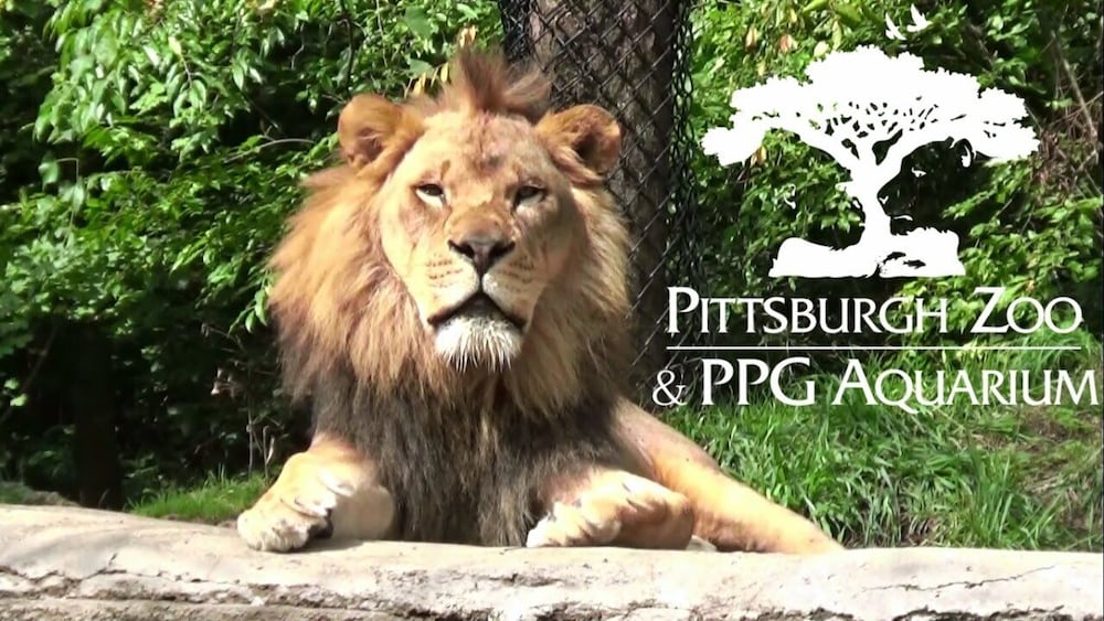 Фото Hampton Inn & Suites Pittsburgh-Downtown