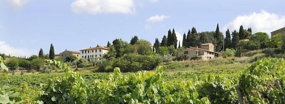 Фото Montelucci Country Resort & Agriturismo di Charme