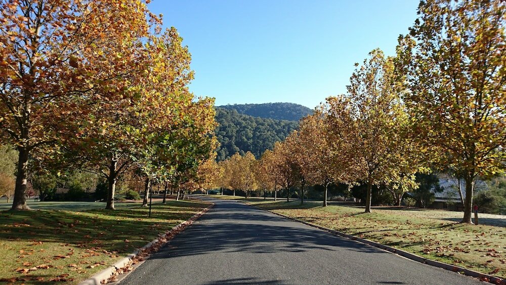 Фото The Sebel Pinnacle Valley