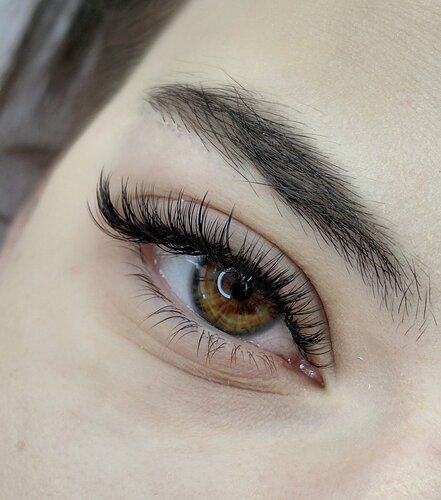 Eyebrow and eyelash salon Beauty Lashes, Novoaleksandrovsk, photo