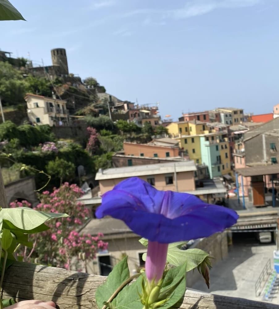 Фото Pensione Sorriso