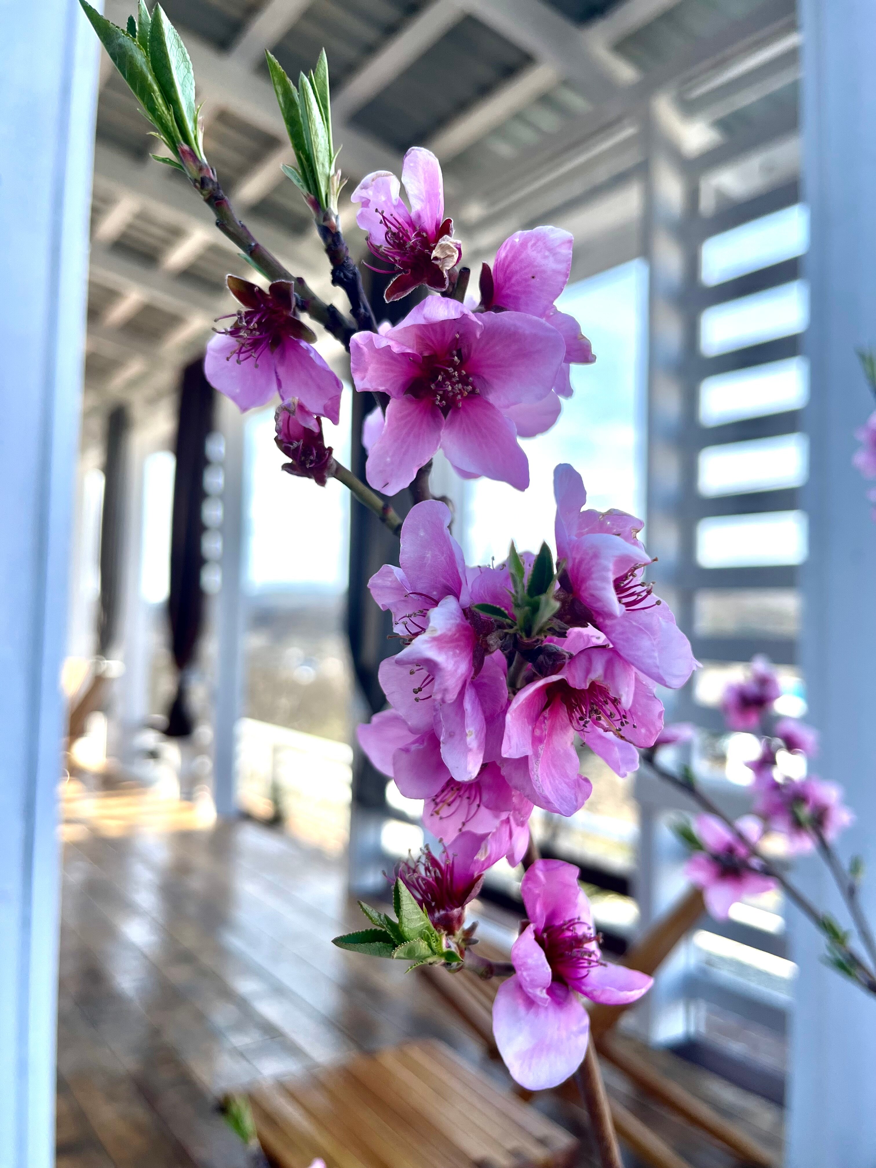 Фото Вилла Изумрудный лес