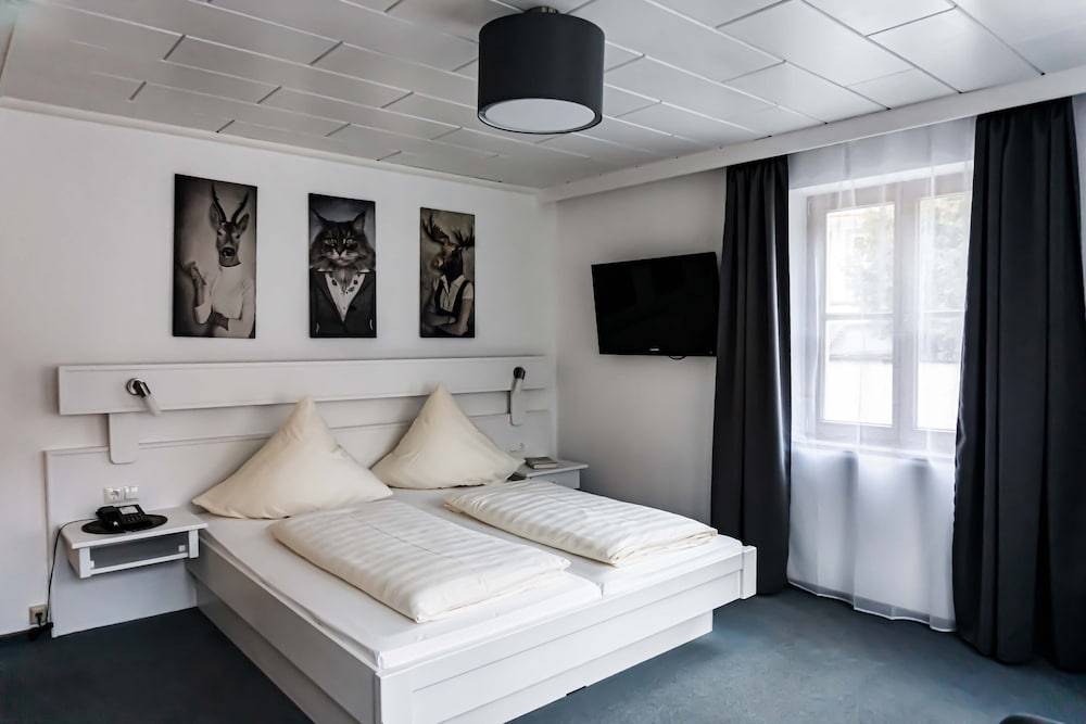 Фото Hotel Sonne