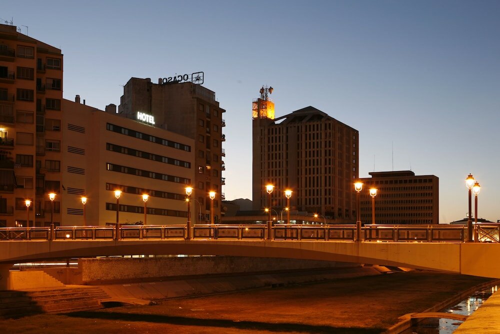 Фото Hotel Guadalmedina