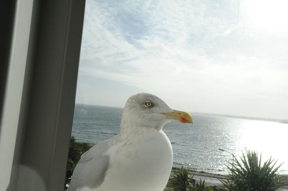 Фото Oyo Anacapri