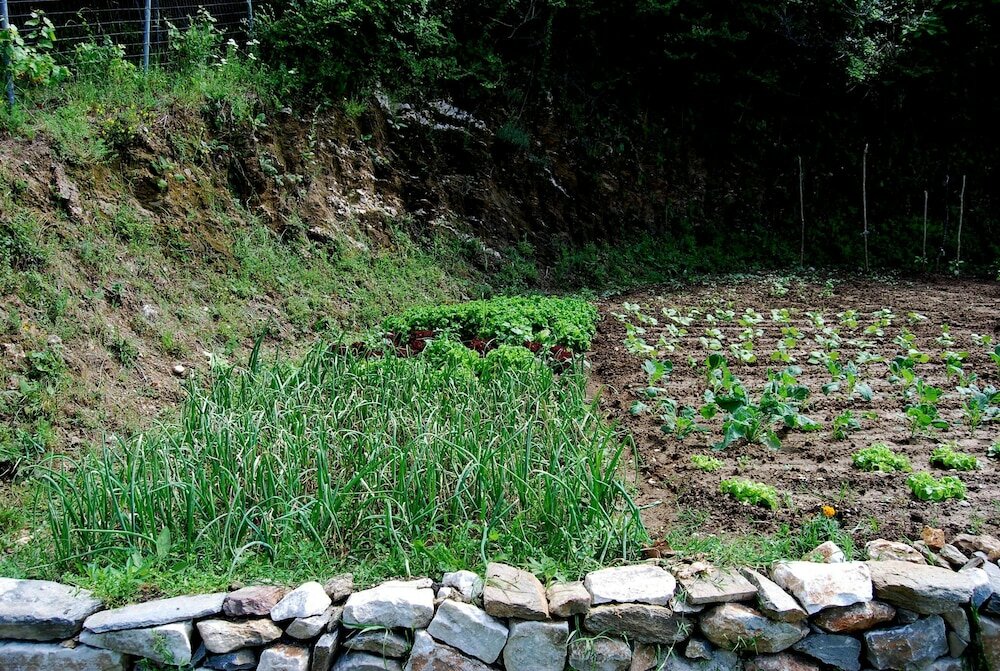 Фото Jennifer Home Hotel